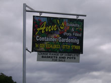 Ann's Container Garedening